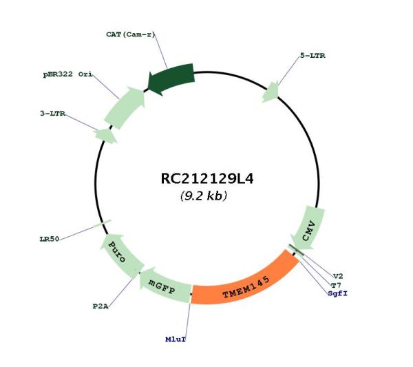 Circular map for RC212129L4