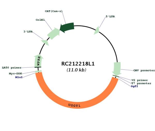 Circular map for RC212218L1