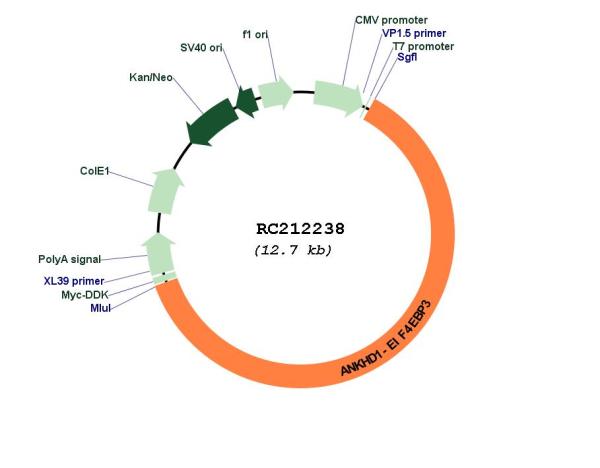 Circular map for RC212238