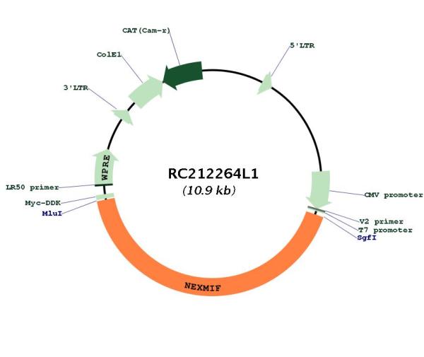 Circular map for RC212264L1
