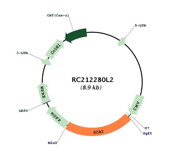 Circular map for RC212280L2