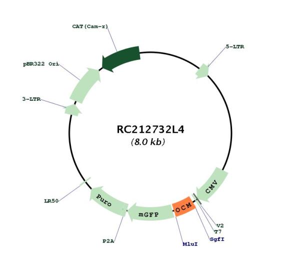 Circular map for RC212732L4