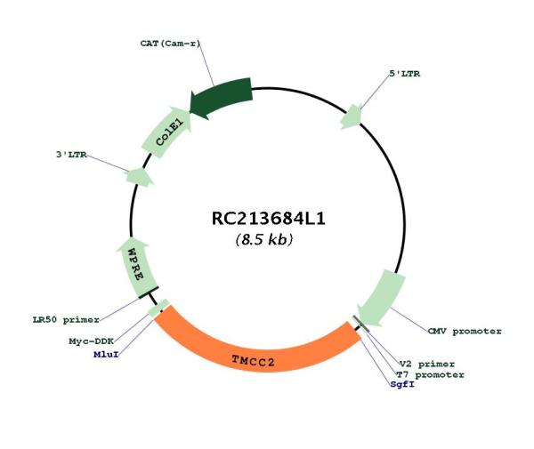 Circular map for RC213684L1