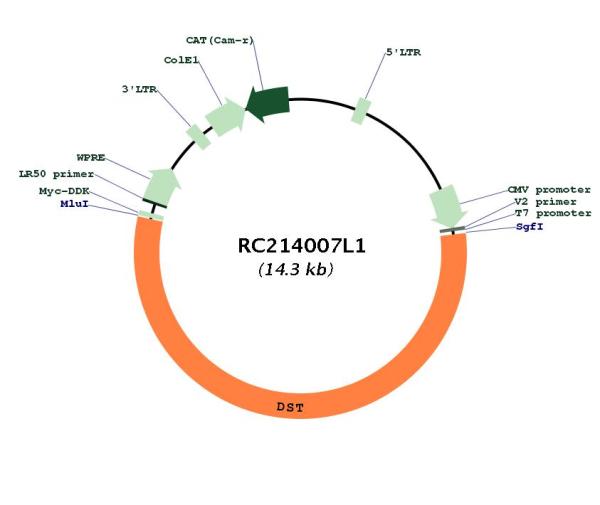 Circular map for RC214007L1