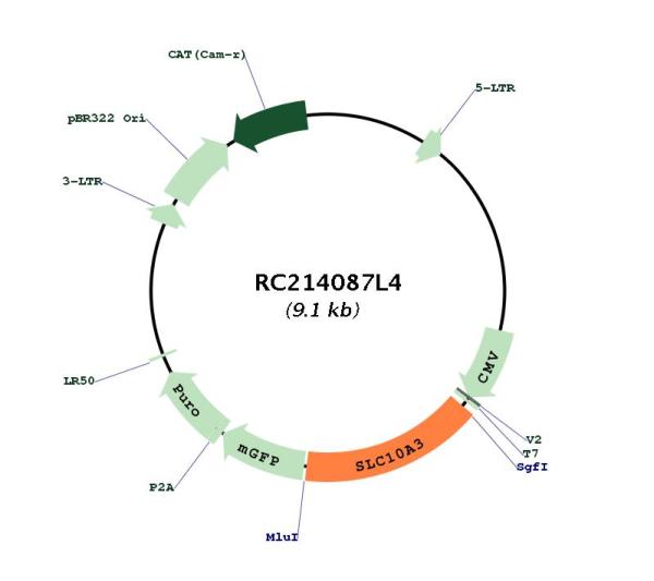 Circular map for RC214087L4