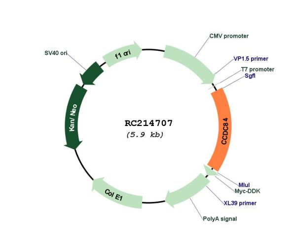 Circular map for RC214707