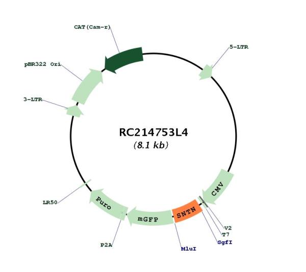 Circular map for RC214753L4