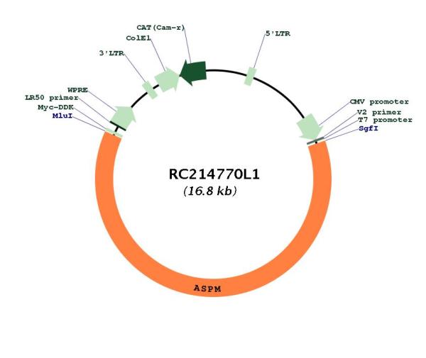 Circular map for RC214770L1