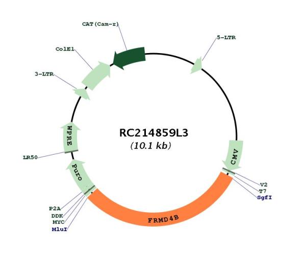Circular map for RC214859L3