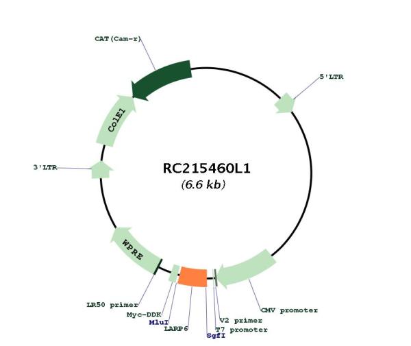 Circular map for RC215460L1