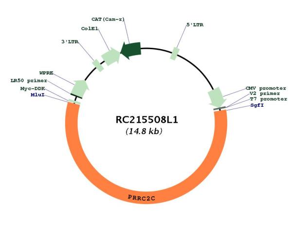 Circular map for RC215508L1