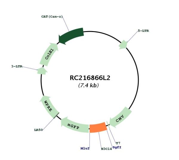 Circular map for RC216866L2