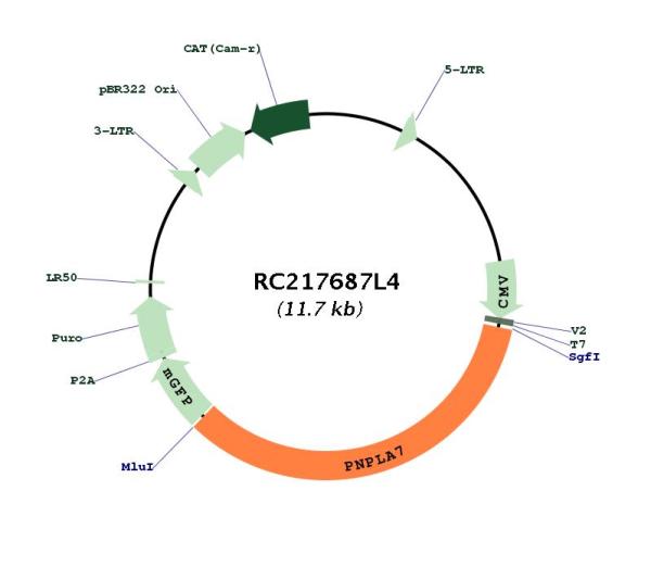 Circular map for RC217687L4