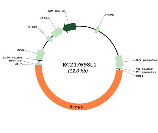Circular map for RC217698L1