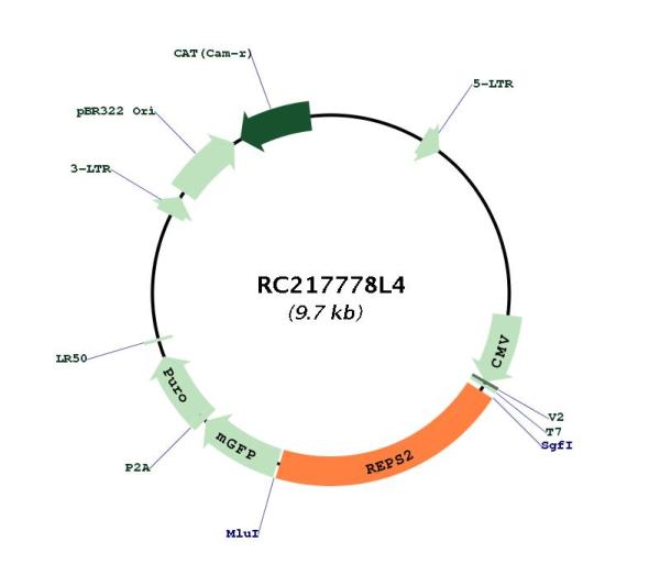 Circular map for RC217778L4