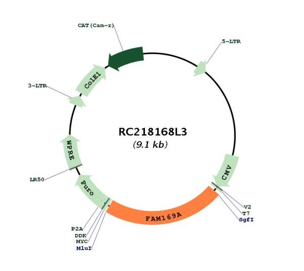 Circular map for RC218168L3
