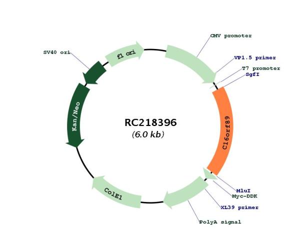 Circular map for RC218396