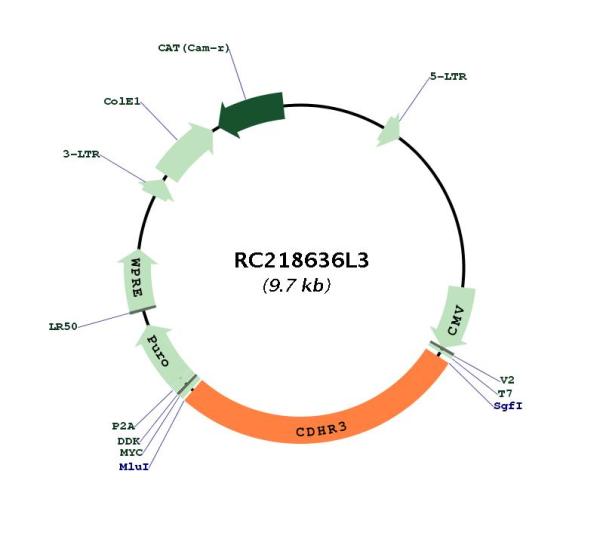 Circular map for RC218636L3