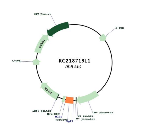 Circular map for RC218718L1