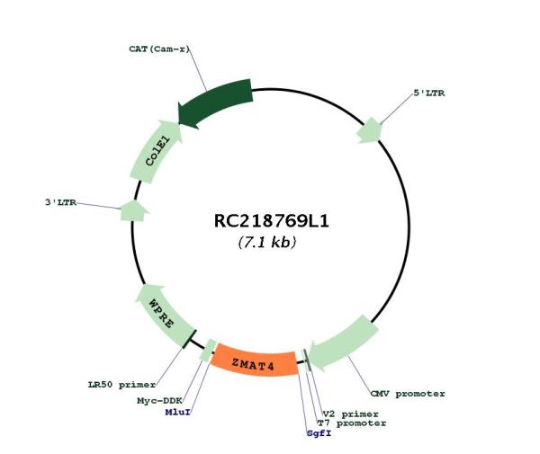 Circular map for RC218769L1