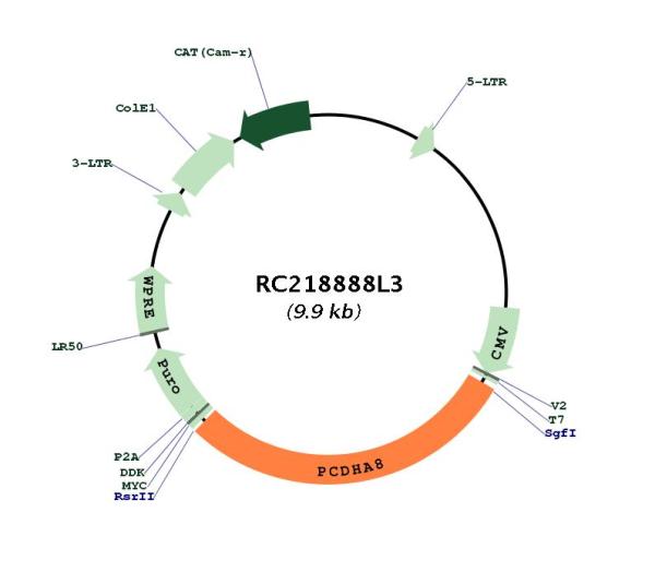 Circular map for RC218888L3