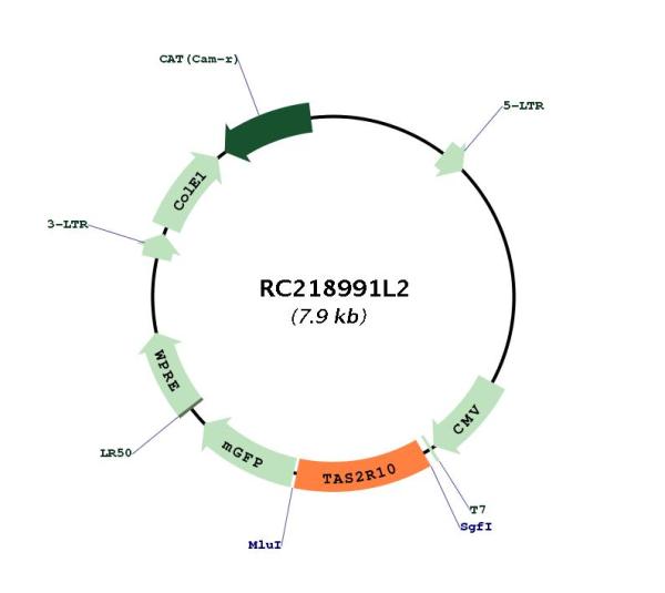 Circular map for RC218991L2