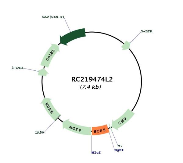 Circular map for RC219474L2