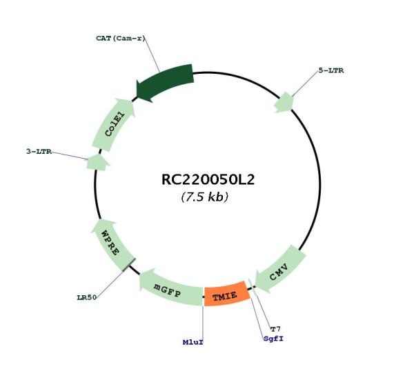 Circular map for RC220050L2