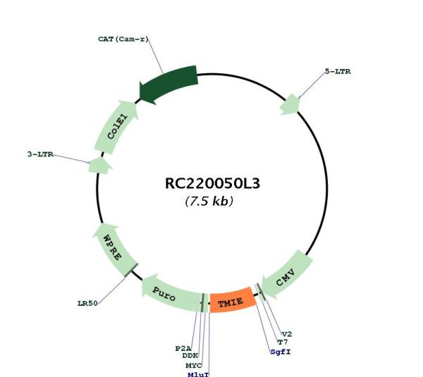 Circular map for RC220050L3