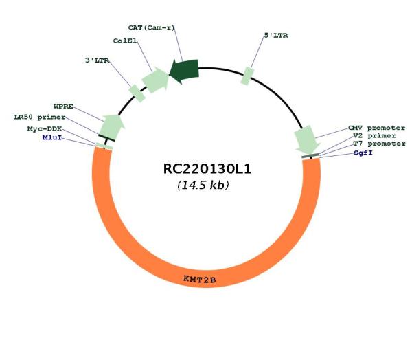 Circular map for RC220130L1