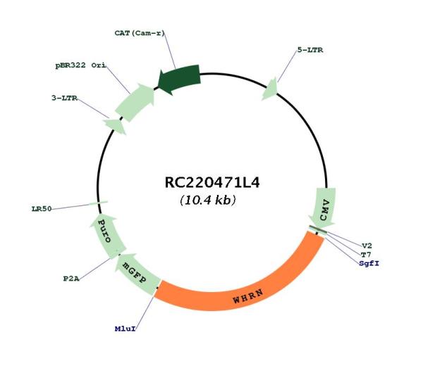 Circular map for RC220471L4