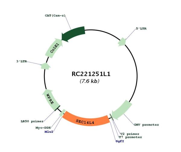 Circular map for RC221251L1