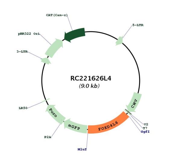 Circular map for RC221626L4