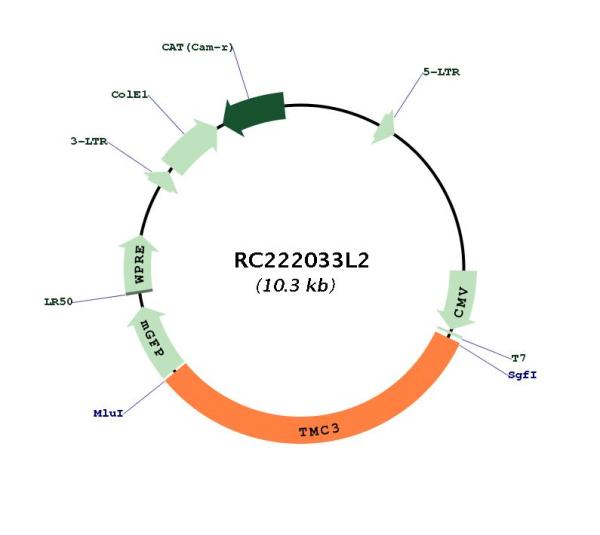 Circular map for RC222033L2
