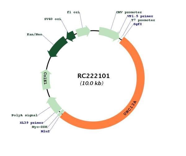 Circular map for RC222101
