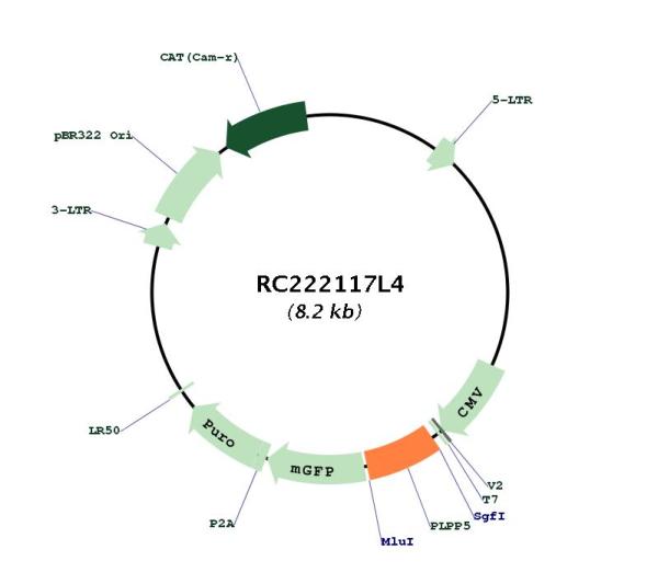 Circular map for RC222117L4