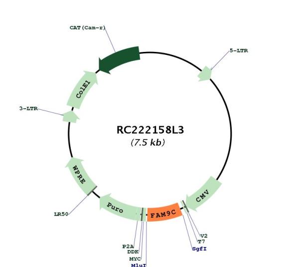 Circular map for RC222158L3