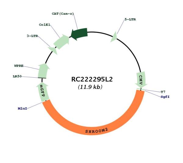 Circular map for RC222295L2