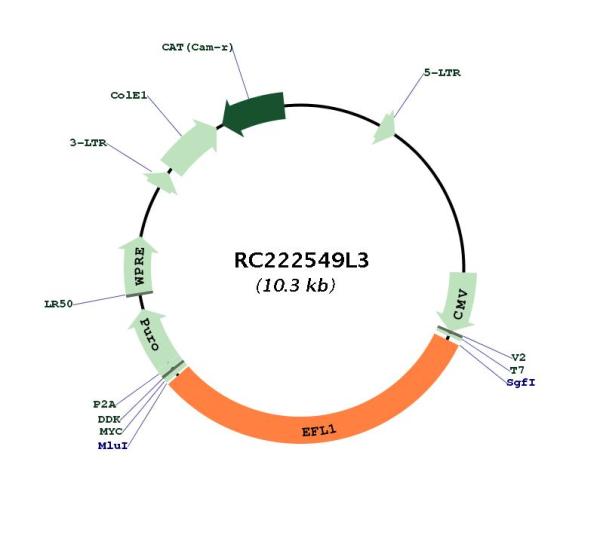 Circular map for RC222549L3