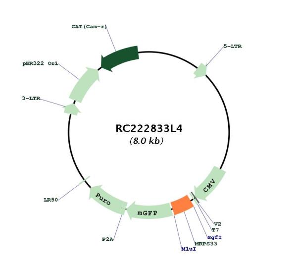 Circular map for RC222833L4