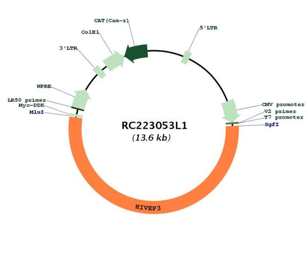 Circular map for RC223053L1