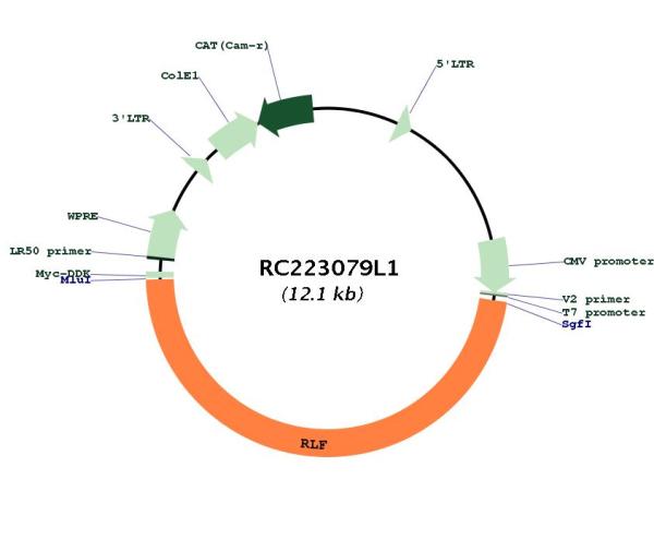 Circular map for RC223079L1