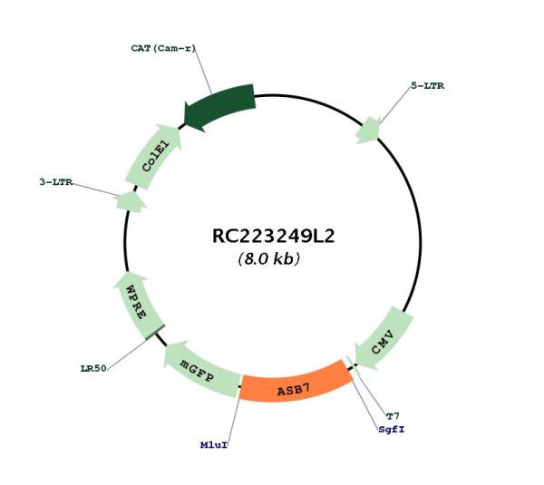 Circular map for RC223249L2