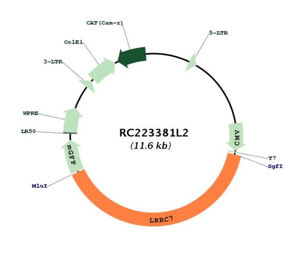 Circular map for RC223381L2