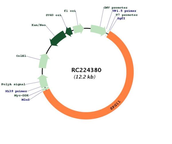 Circular map for RC224380