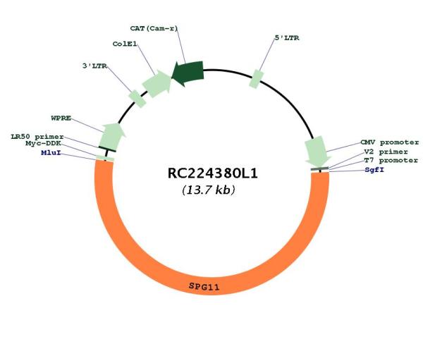 Circular map for RC224380L1