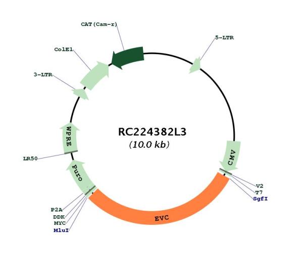 Circular map for RC224382L3