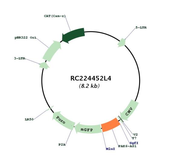 Circular map for RC224452L4