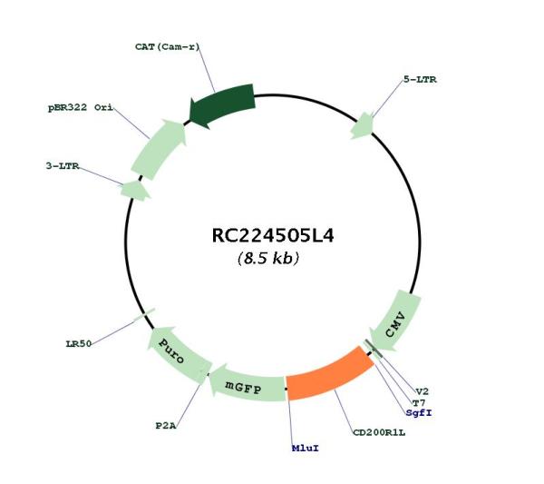 Circular map for RC224505L4