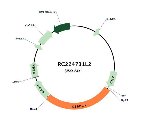Circular map for RC224731L2